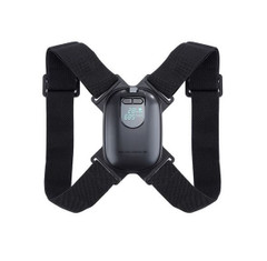 Vibrating back posture support 